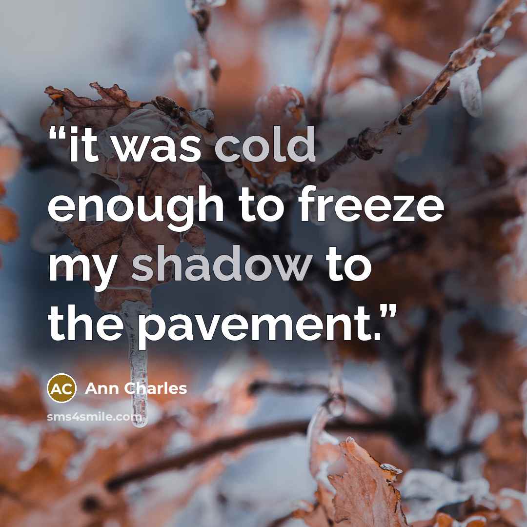 “it was cold enough to freeze my shadow to the pavement.” quote by Ann Charles