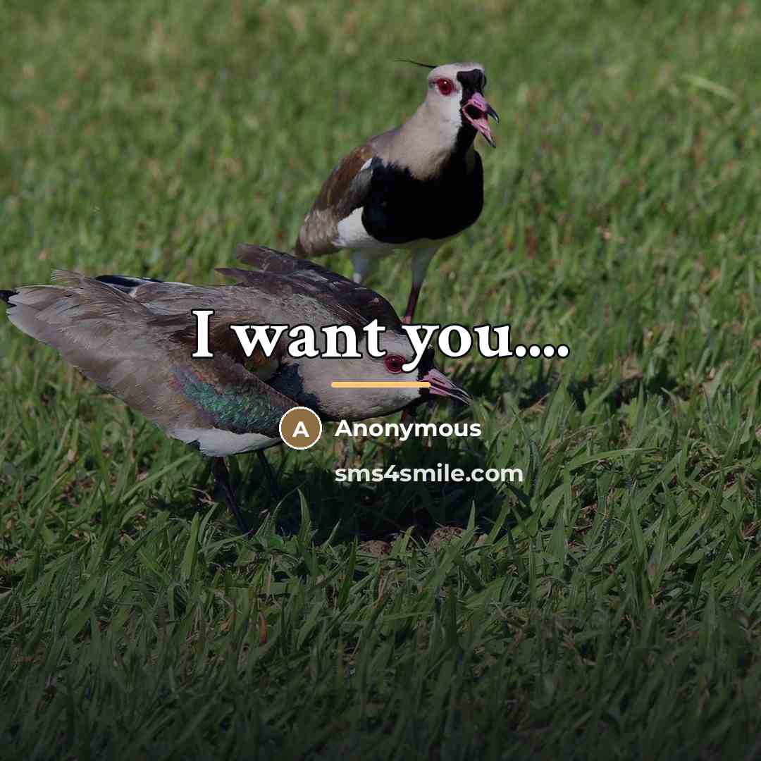 “I want you....…” quote by Anonymous