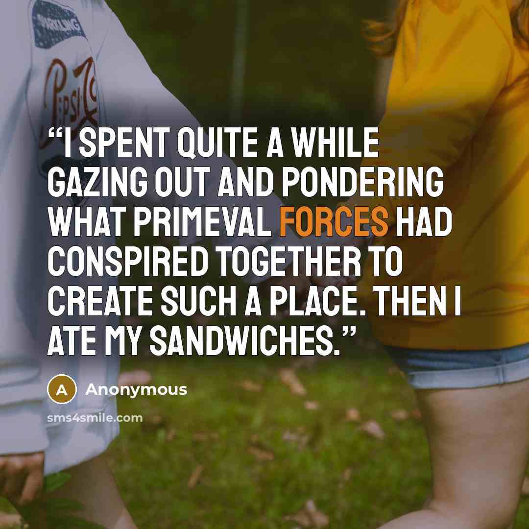 “I spent quite a while gazing out and pondering what primeval forces had conspired together to create such a place. Then I ate my sandwiches.” quote by Anonymous