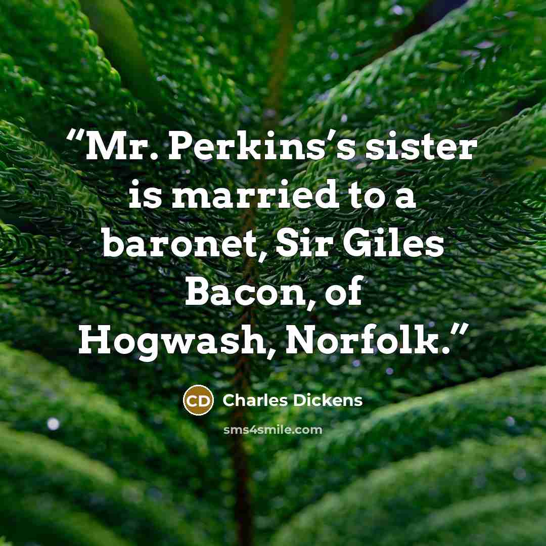 “Mr. Perkins’s sister is married to a baronet, Sir Giles Bacon, of Hogwash, Norfolk.” quote by Charles Dickens