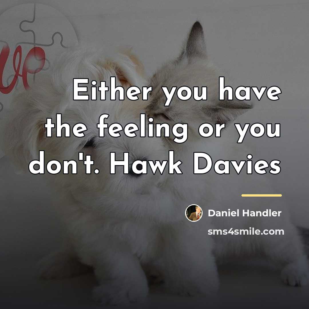 “Either you have the feeling or you don't. Hawk Davies…” quote by Daniel Handler
