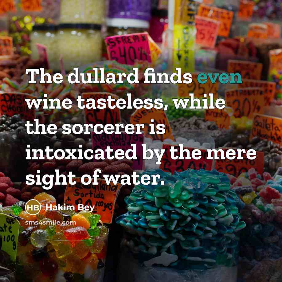 “The dullard finds even wine tasteless, while the sorcerer is…” quote by Hakim Bey
