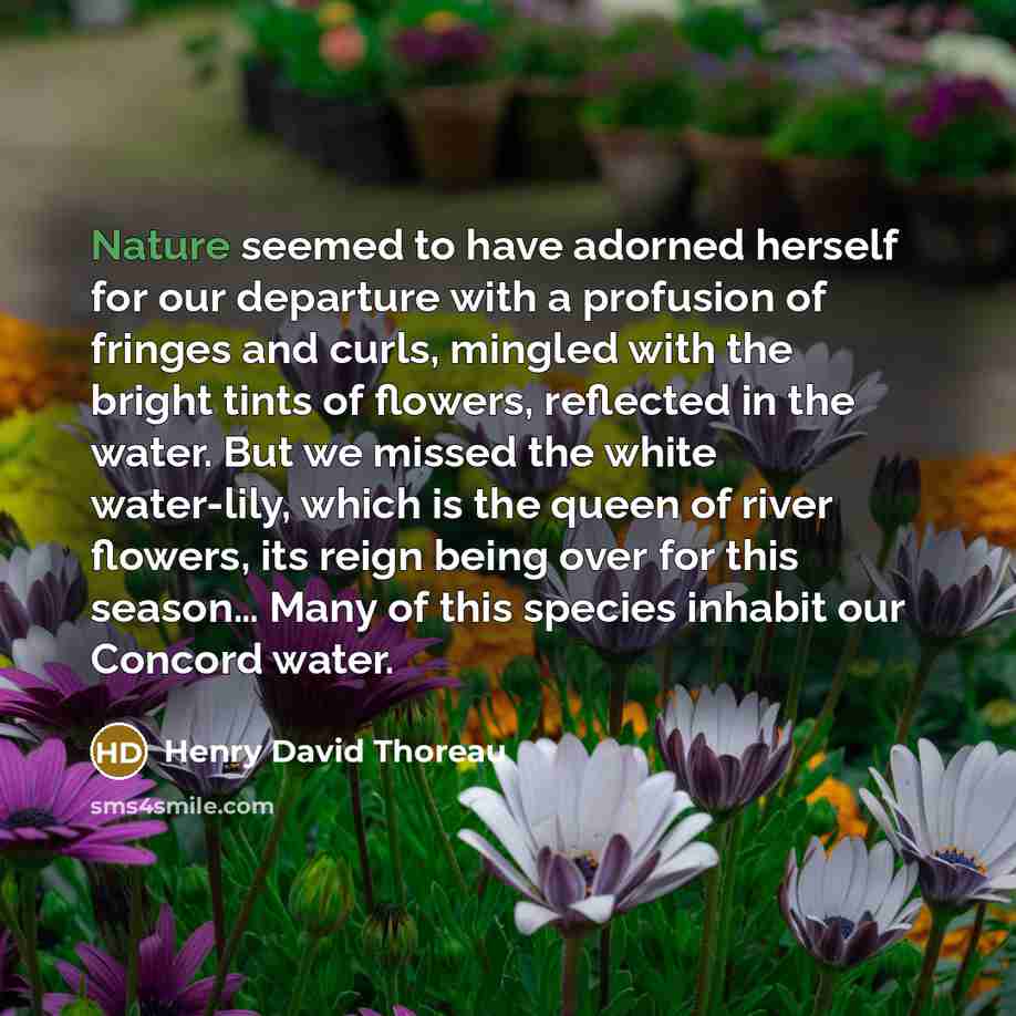 “Nature seemed to have adorned herself for our departure with…” quote by Henry David Thoreau