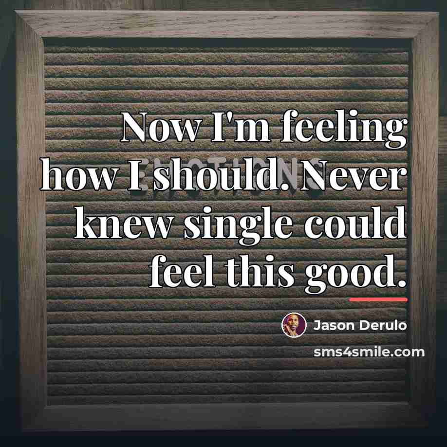 “Now I'm feeling how I should. Never knew single could…” quote by Jason Derulo