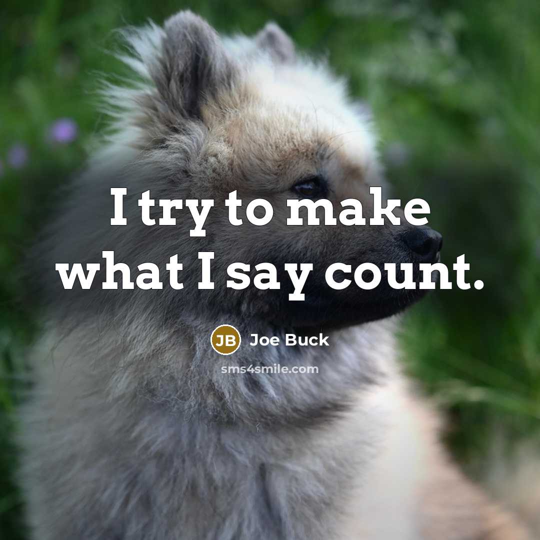 “I try to make what I say count.…” quote by Joe Buck