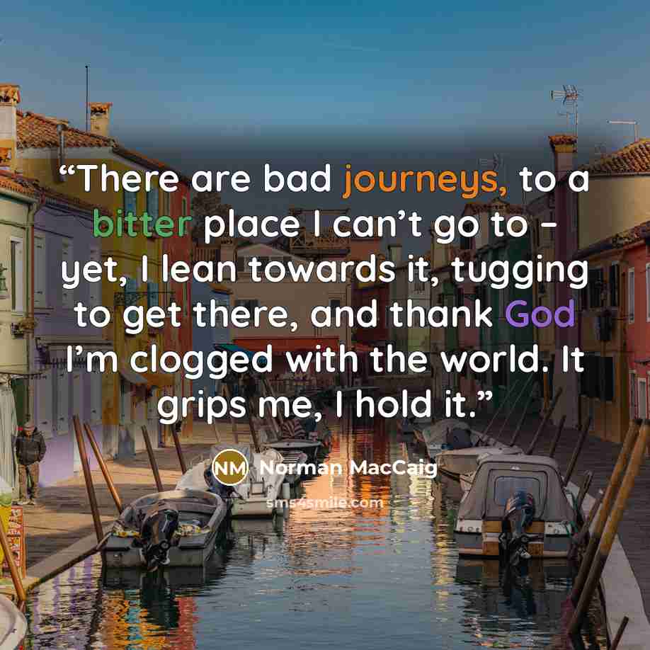 “There are bad journeys, to a bitter place I can’t go to – yet, I lean towards it, tugging to get there, and thank God I’m clogged with the world. It grips me, I hold it.” quote by Norman MacCaig
