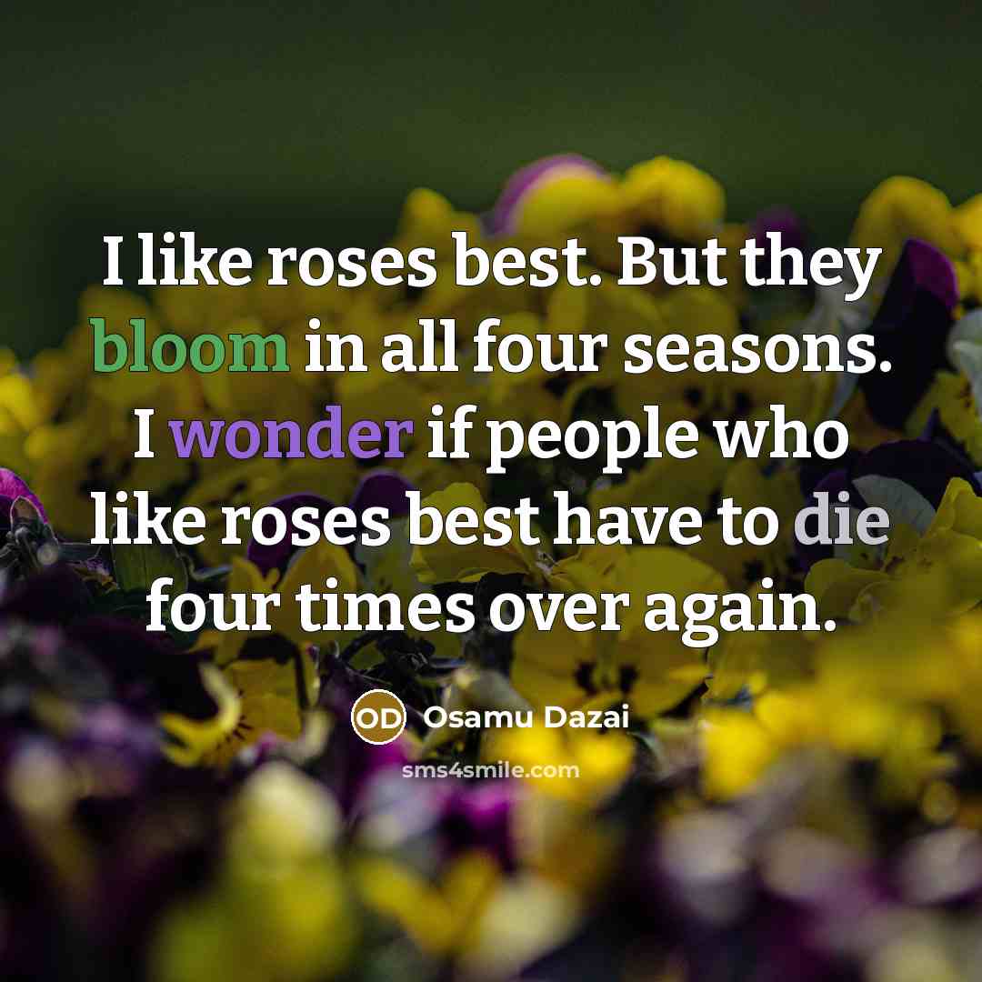 “I like roses best. But they bloom in all four seasons. I wonder if people who like roses best have to die four times over again.” quote by Osamu Dazai