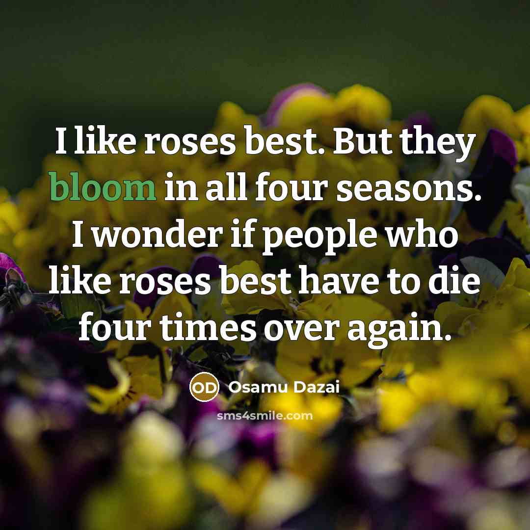 “I like roses best. But they bloom in all four…” quote by Osamu Dazai