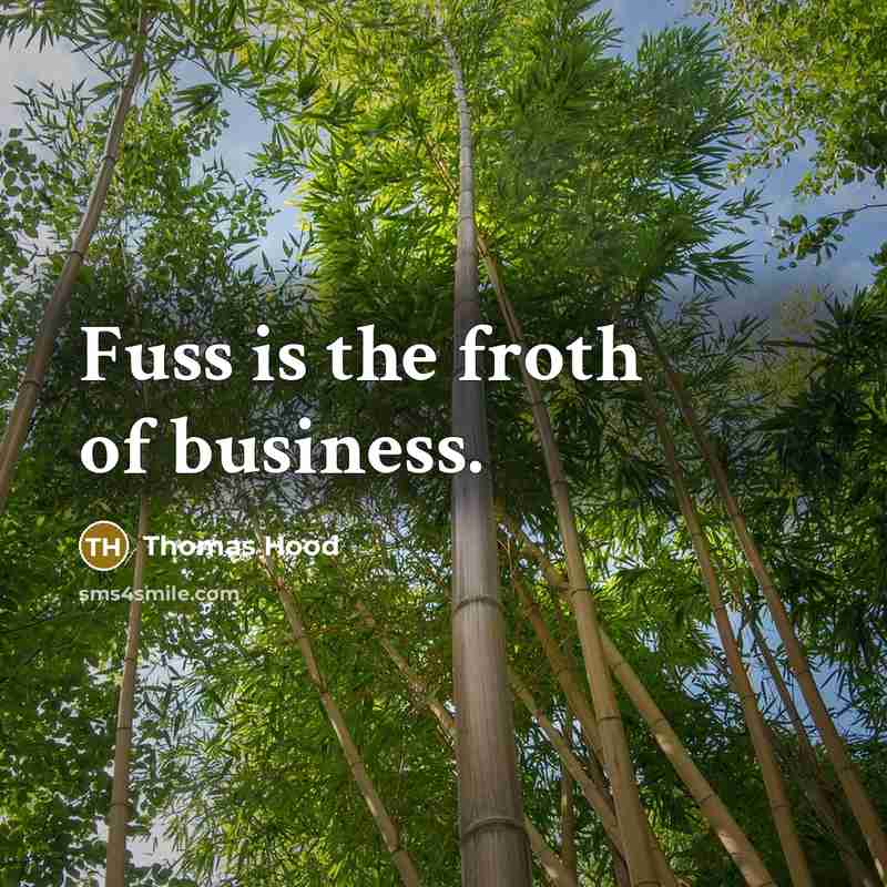 “Fuss is the froth of business.…” quote by Thomas Hood