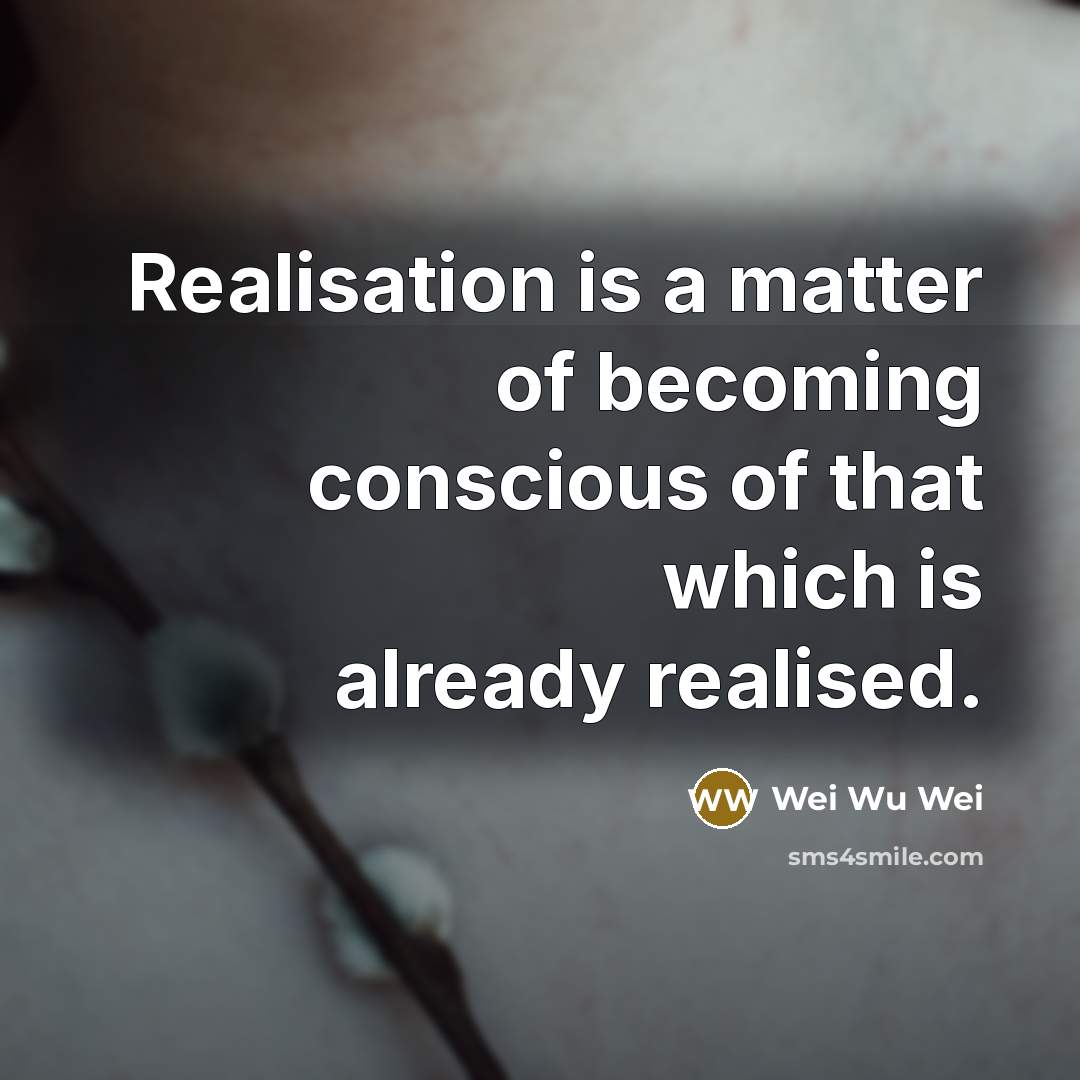 “Realisation is a matter of becoming conscious of that which…” quote by Wei Wu Wei