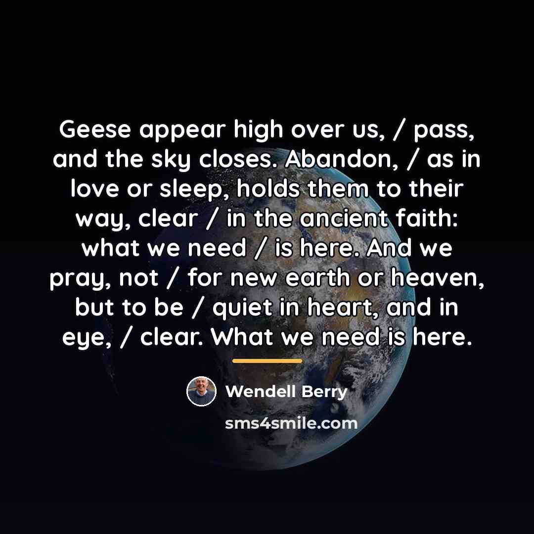 “Geese appear high over us, / pass, and the sky…” quote by Wendell Berry