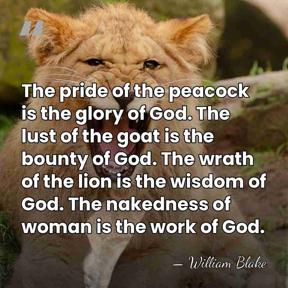 The pride of the peacock is the glory of God. The lust&hellip; - William Blake