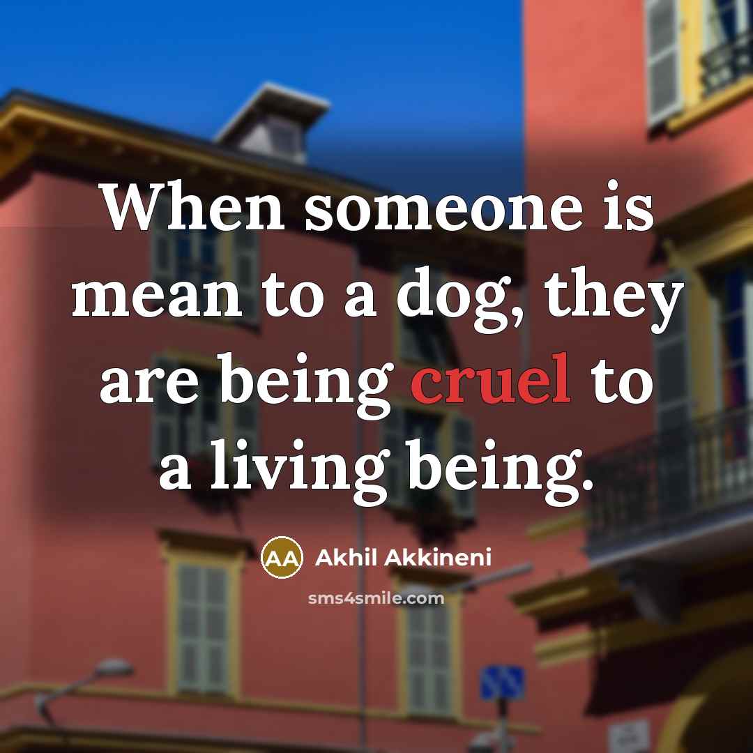 “When someone is mean to a dog, they are being…” quote by Akhil Akkineni