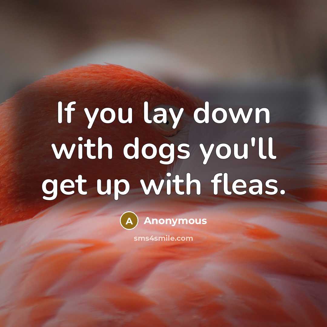 “If you lay down with dogs you'll get up with fleas.” quote by Anonymous