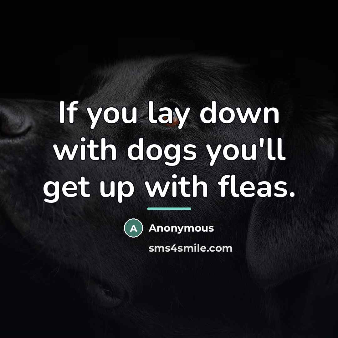 “If you lay down with dogs you'll get up with…” quote by Anonymous
