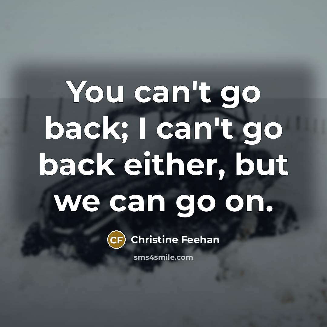 “You can't go back; I can't go back either, but…” quote by Christine Feehan
