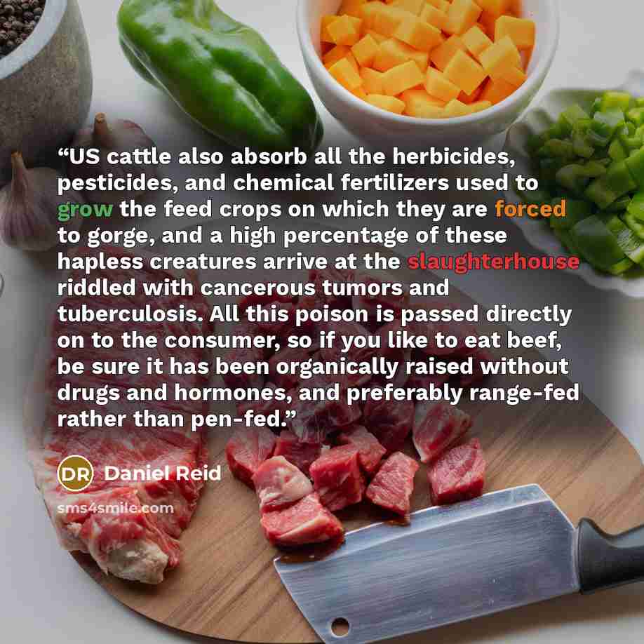 “US cattle also absorb all the herbicides, pesticides, and chemical fertilizers used to grow the feed crops on which they are forced to gorge, and a high percentage of these hapless creatures arrive at the slaughterhouse riddled with cancerous tumors and tuberculosis. All this poison is passed…” quote by Daniel Reid