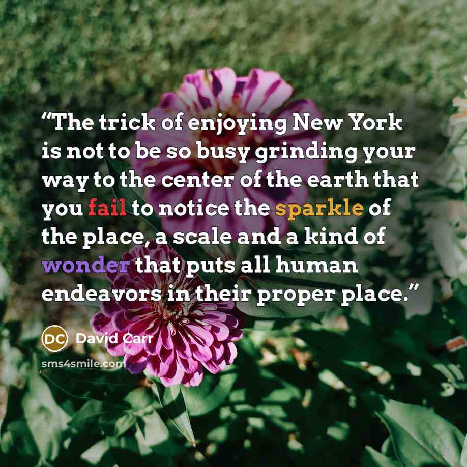 “The trick of enjoying New York is not to be so busy grinding your way to the center of the earth that you fail to notice the sparkle of the place, a scale and a kind of wonder that puts all human endeavors in their proper place.” quote by David Carr