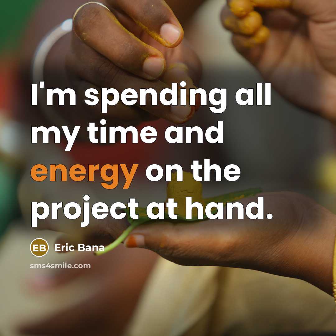 “I'm spending all my time and energy on the project…” quote by Eric Bana