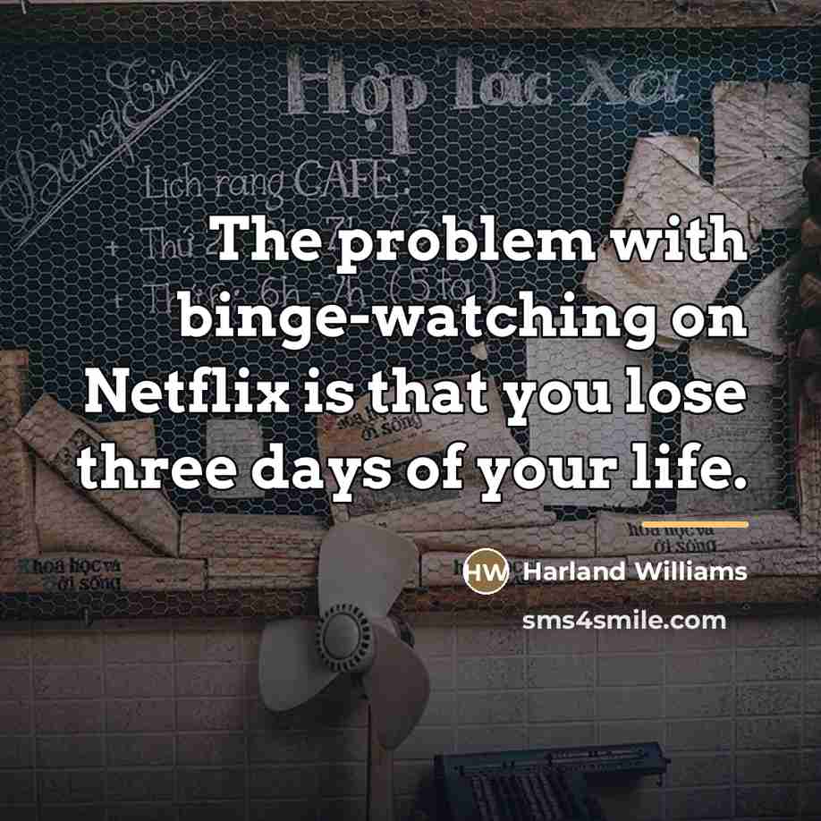 “The problem with binge-watching on Netflix is that you lose…” quote by Harland Williams