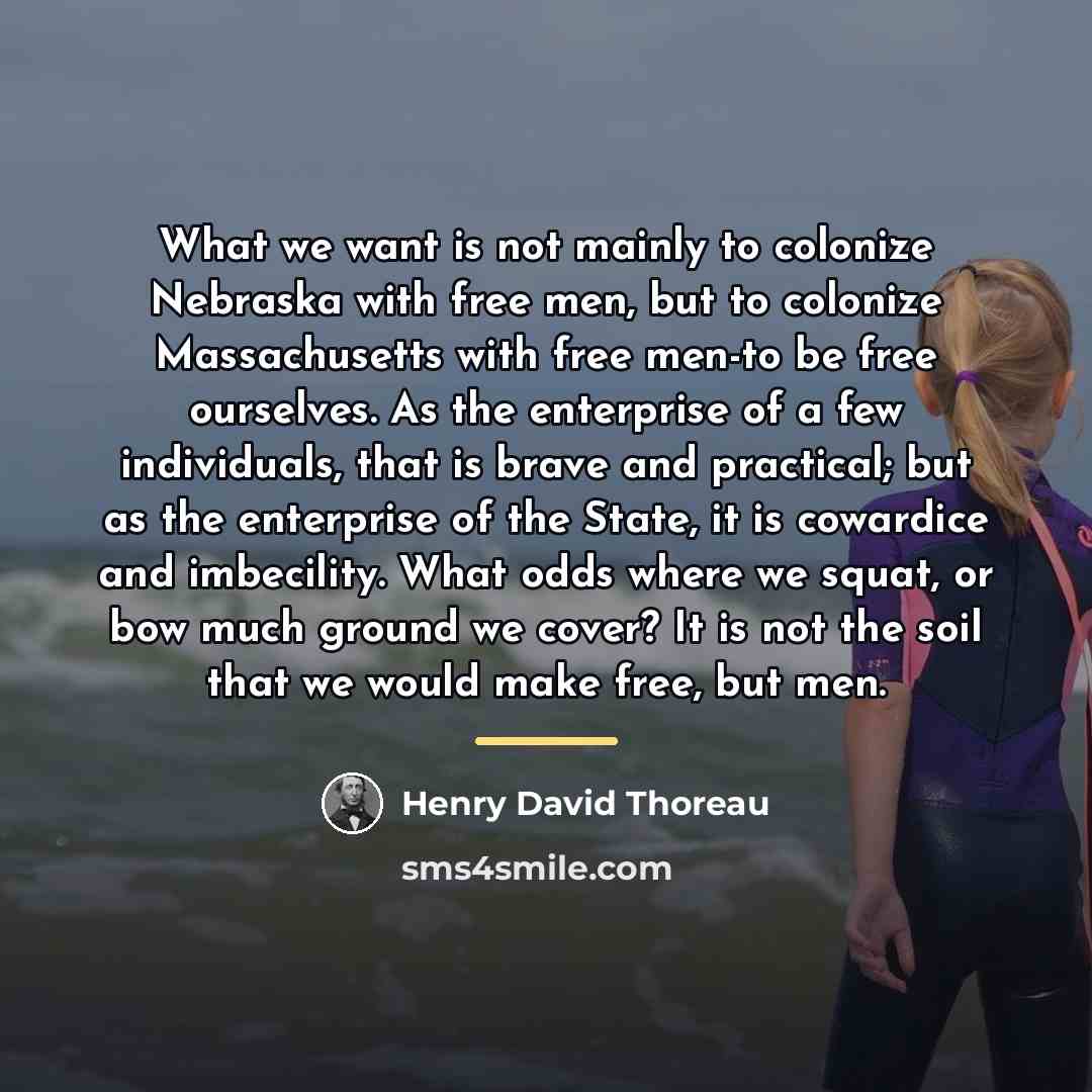 “What we want is not mainly to colonize Nebraska with…” quote by Henry David Thoreau