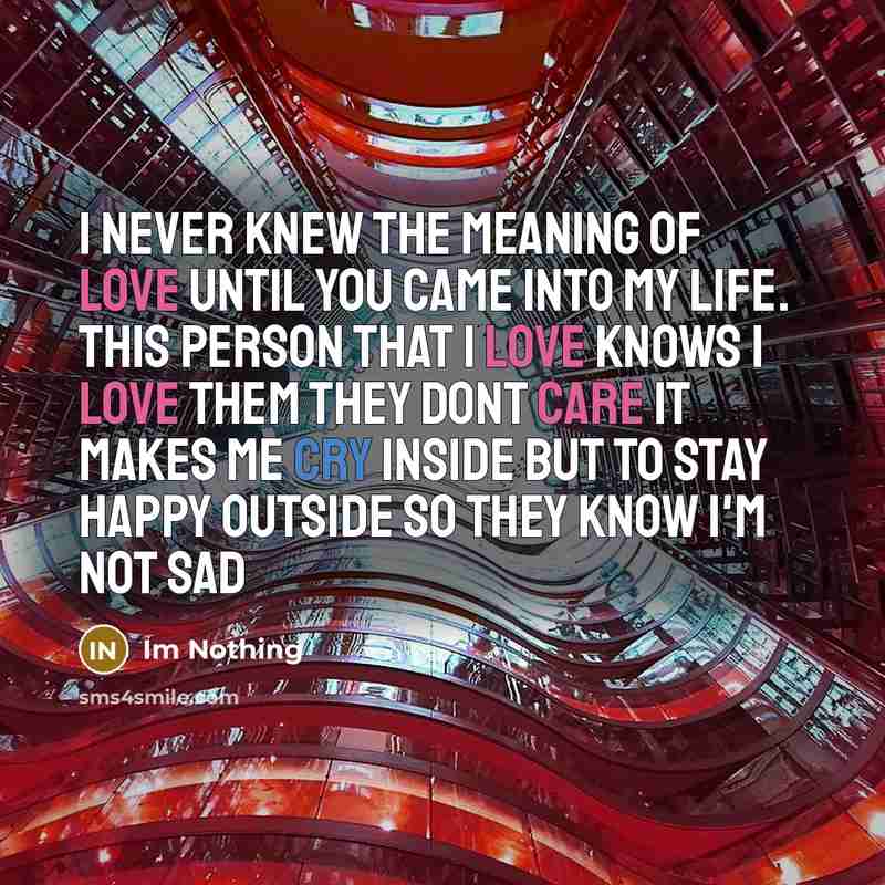 “I never knew the meaning of love until you came…” quote by Im Nothing