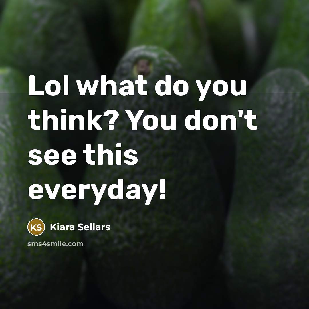 “Lol what do you think? You don't see this everyday!…” quote by Kiara Sellars
