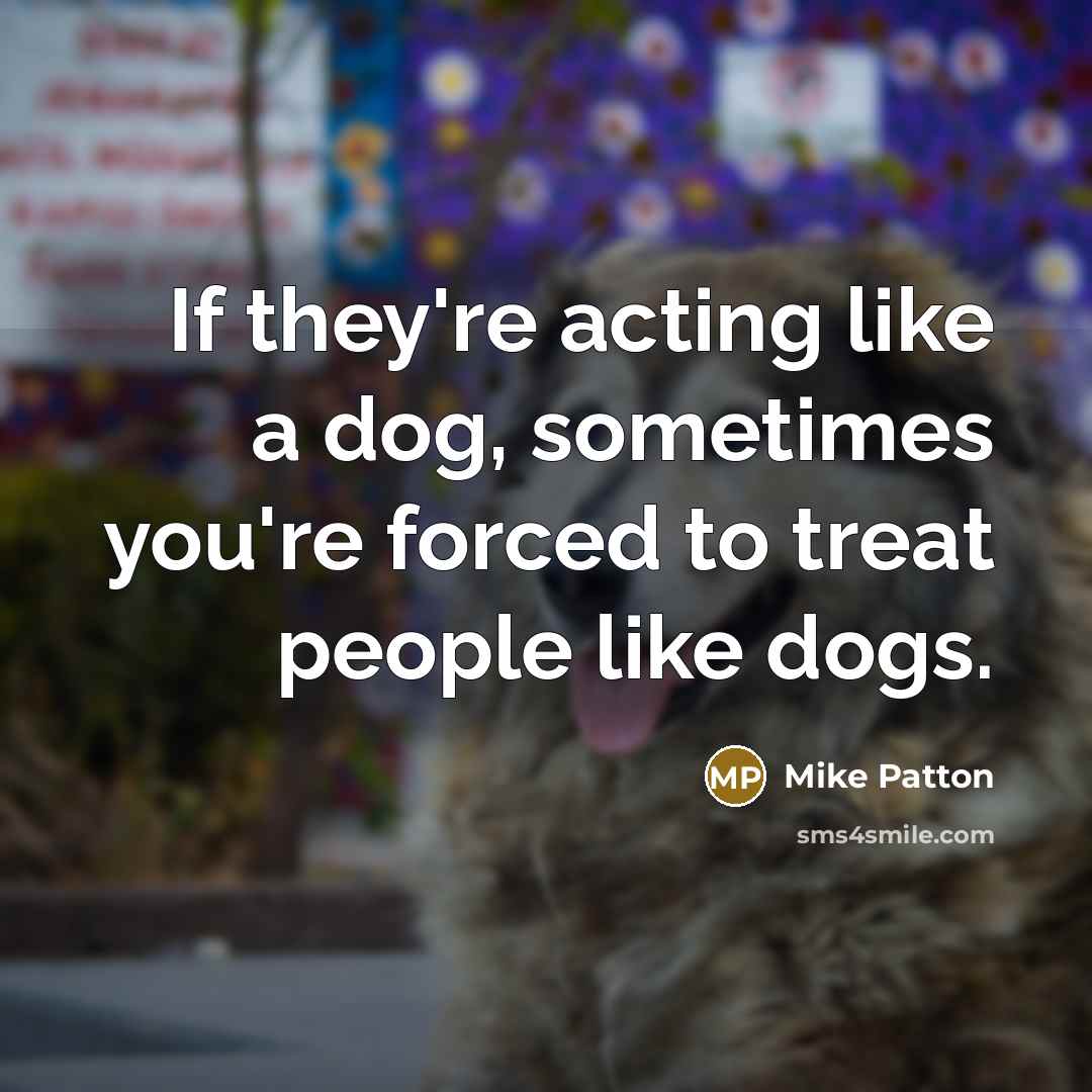“If they're acting like a dog, sometimes you're forced to…” quote by Mike Patton