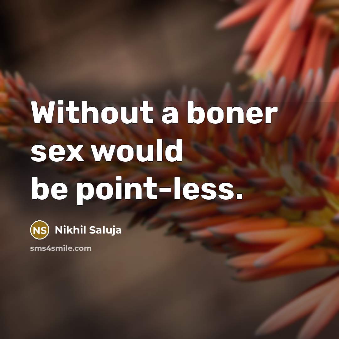 “Without a boner sex would be point-less.…” quote by Nikhil Saluja