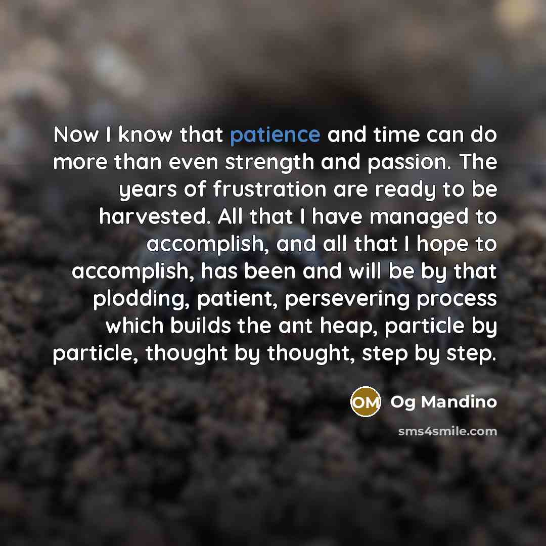 “Now I know that patience and time can do more…” quote by Og Mandino