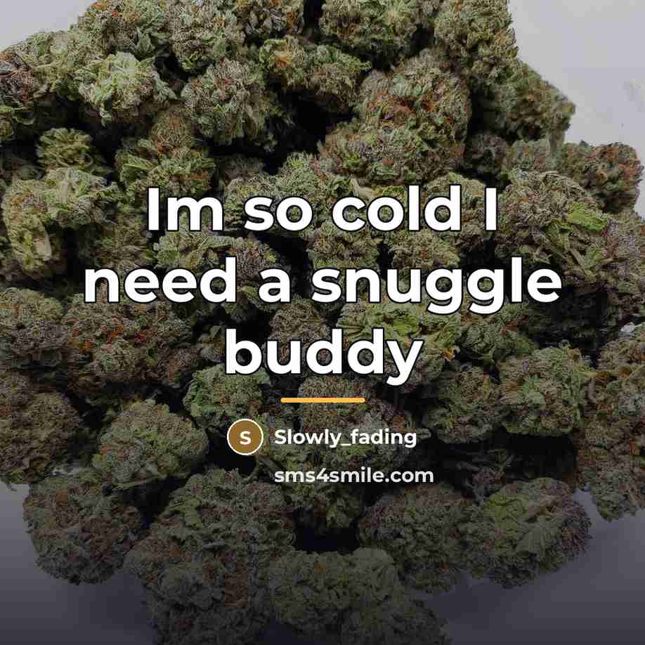 “Im so cold I need a snuggle buddy…” quote by Slowly_fading
