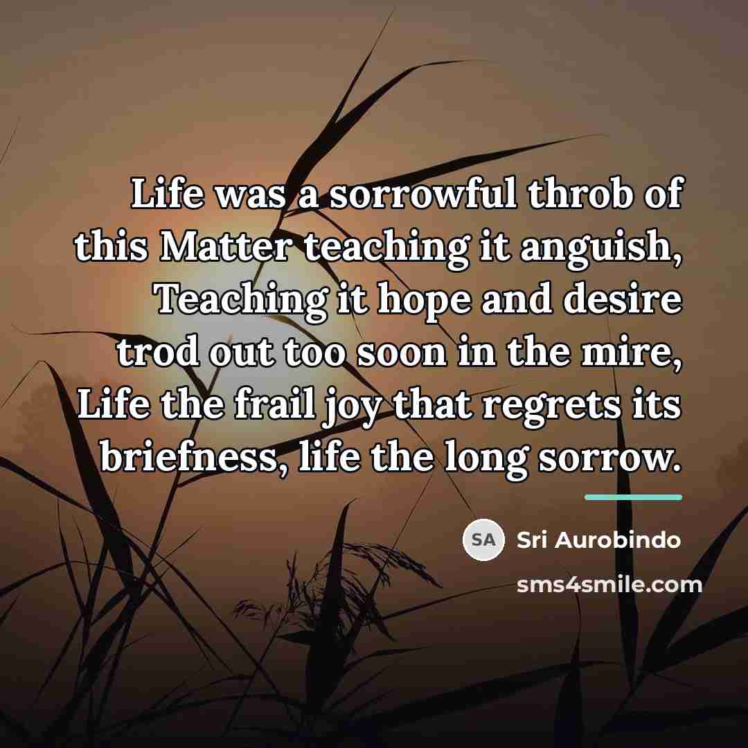 “Life was a sorrowful throb of this Matter teaching it…” quote by Sri Aurobindo