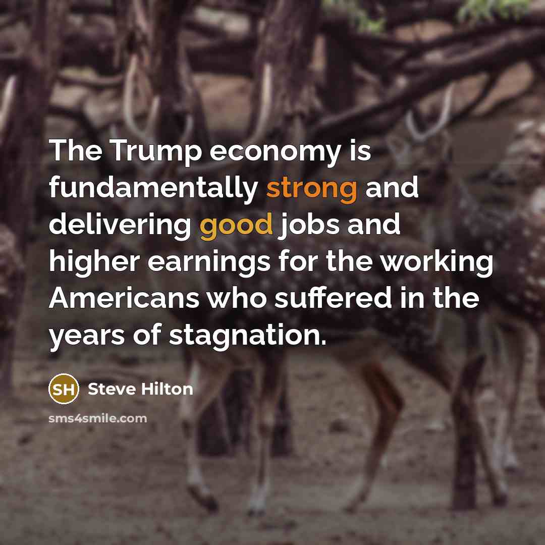 “The Trump economy is fundamentally strong and delivering good jobs…” quote by Steve Hilton