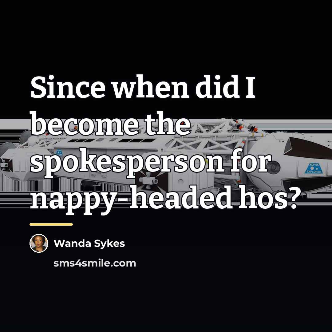 “Since when did I become the spokesperson for nappy-headed hos?…” quote by Wanda Sykes