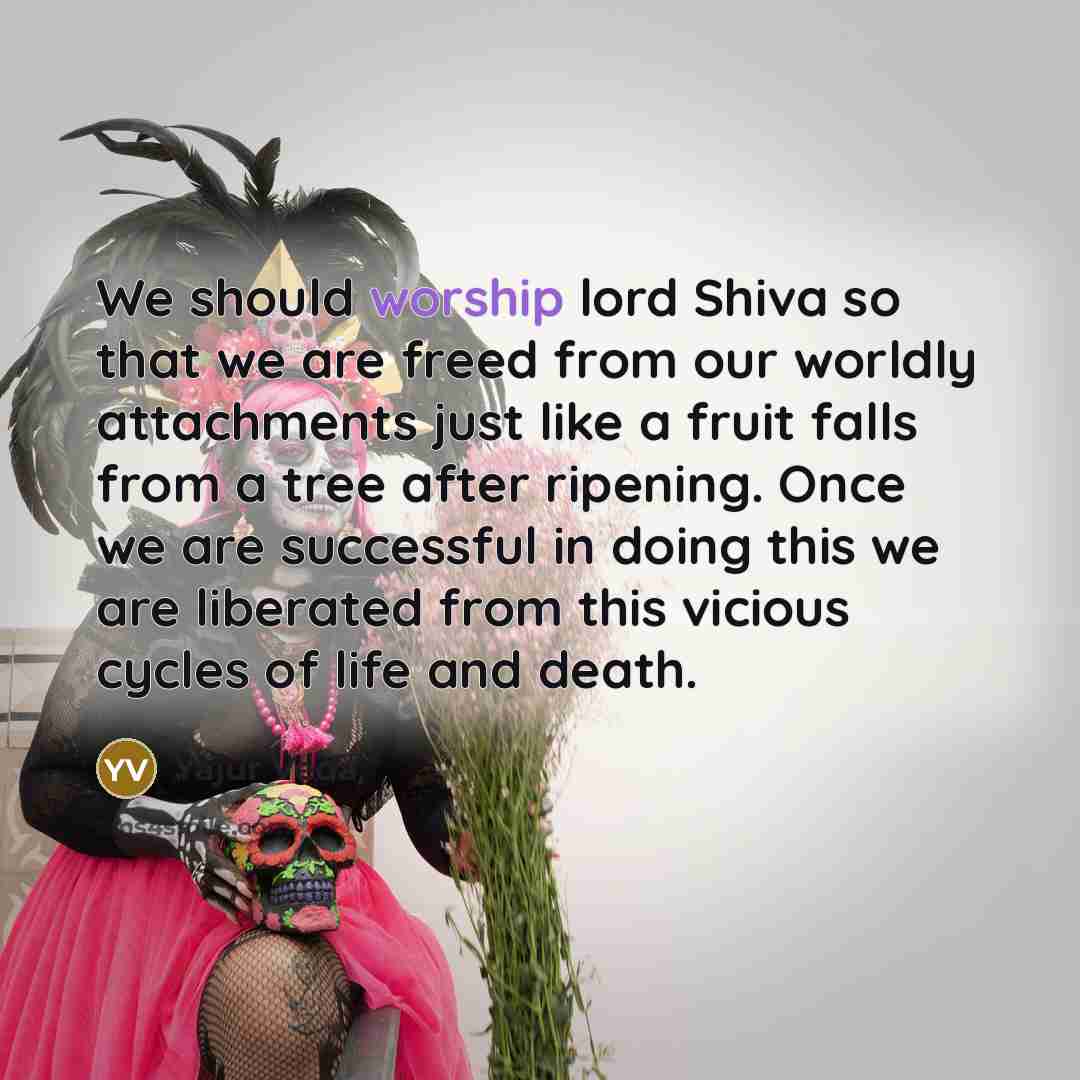 “We should worship lord Shiva so that we are freed…” quote by Yajur Veda