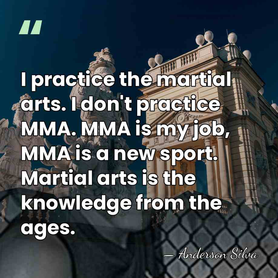 I practice the martial arts. I don't practice MMA. MMA is my&hellip; - Anderson Silva