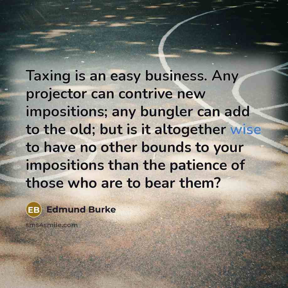 “Taxing is an easy business. Any projector can contrive new…” quote by Edmund Burke