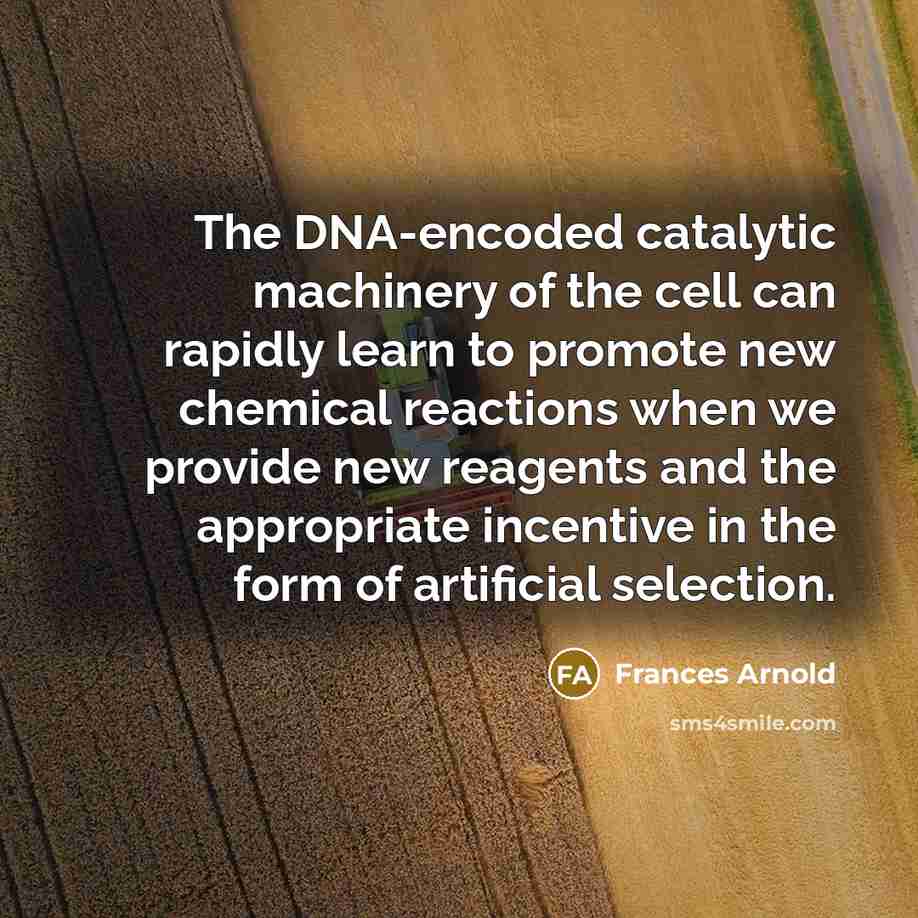 “The DNA-encoded catalytic machinery of the cell can rapidly learn…” quote by Frances Arnold