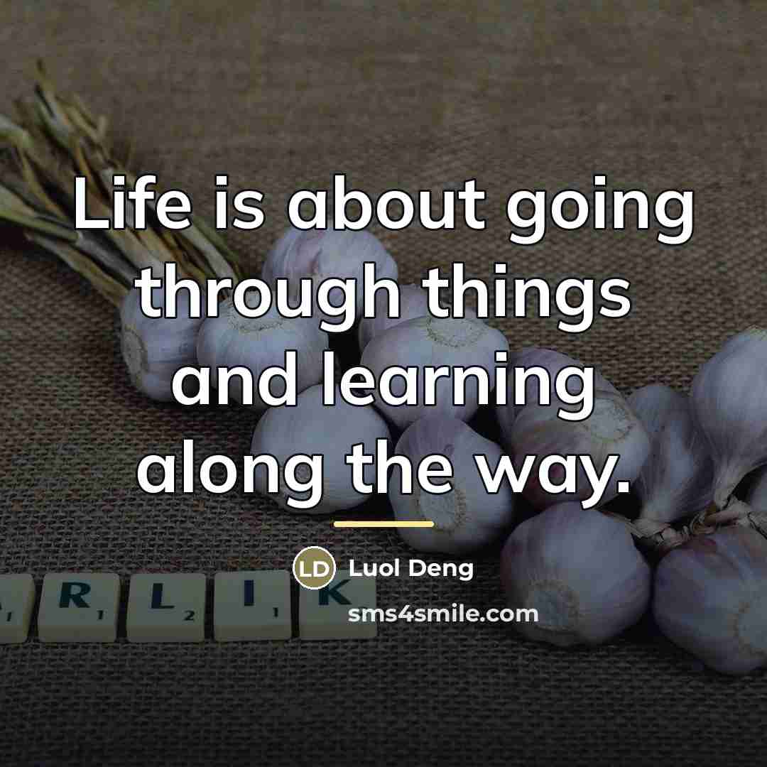 “Life is about going through things and learning along the…” quote by Luol Deng