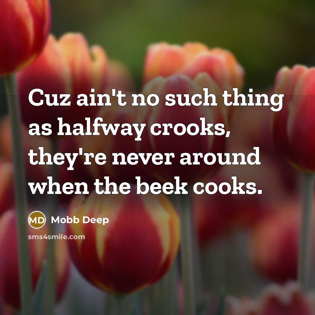 “Cuz ain't no such thing as halfway crooks, they're never…” quote by Mobb Deep