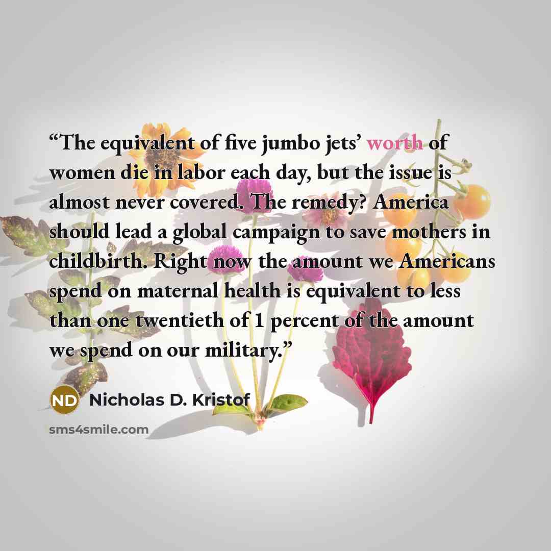 “The equivalent of five jumbo jets’ worth of women die in labor each day, but the issue is almost never covered. The remedy? America should lead a global campaign to save mothers in childbirth. Right now the amount we Americans spend on maternal health is equivalent to less than one twentieth of 1…” quote by Nicholas D. Kristof