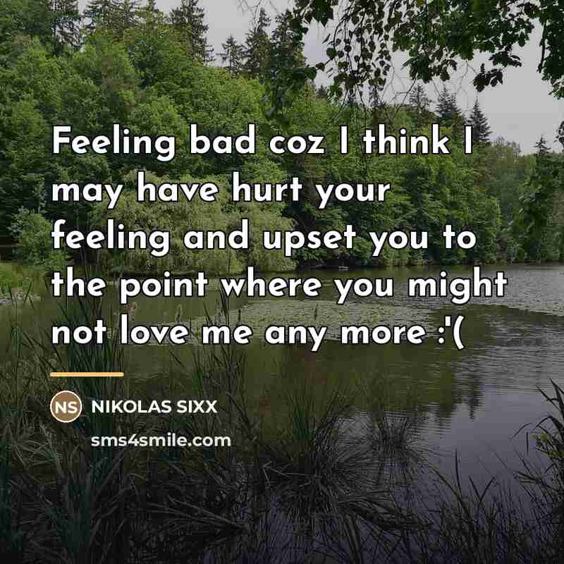 “Feeling bad coz I think I may have hurt your…” quote by NIKOLAS SIXX
