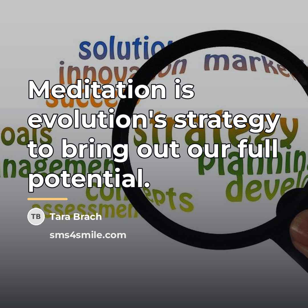 “Meditation is evolution's strategy to bring out our full potential.…” quote by Tara Brach
