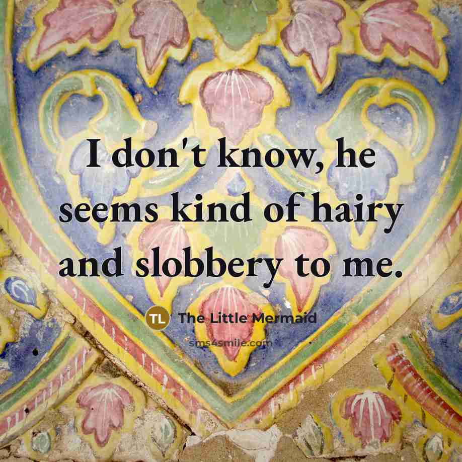 “I don't know, he seems kind of hairy and slobbery…” quote by The Little Mermaid