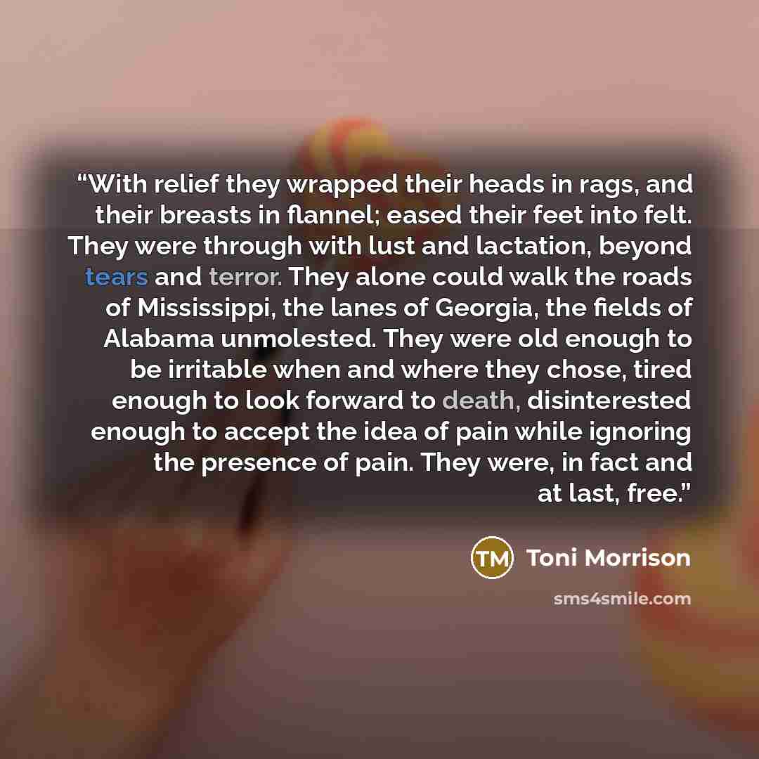 “With relief they wrapped their heads in rags, and their breasts in flannel; eased their feet into felt. They were through with lust and lactation, beyond tears and terror. They alone could walk the roads of Mississippi, the lanes of Georgia, the fields of Alabama unmolested. They were old enough…” quote by Toni Morrison