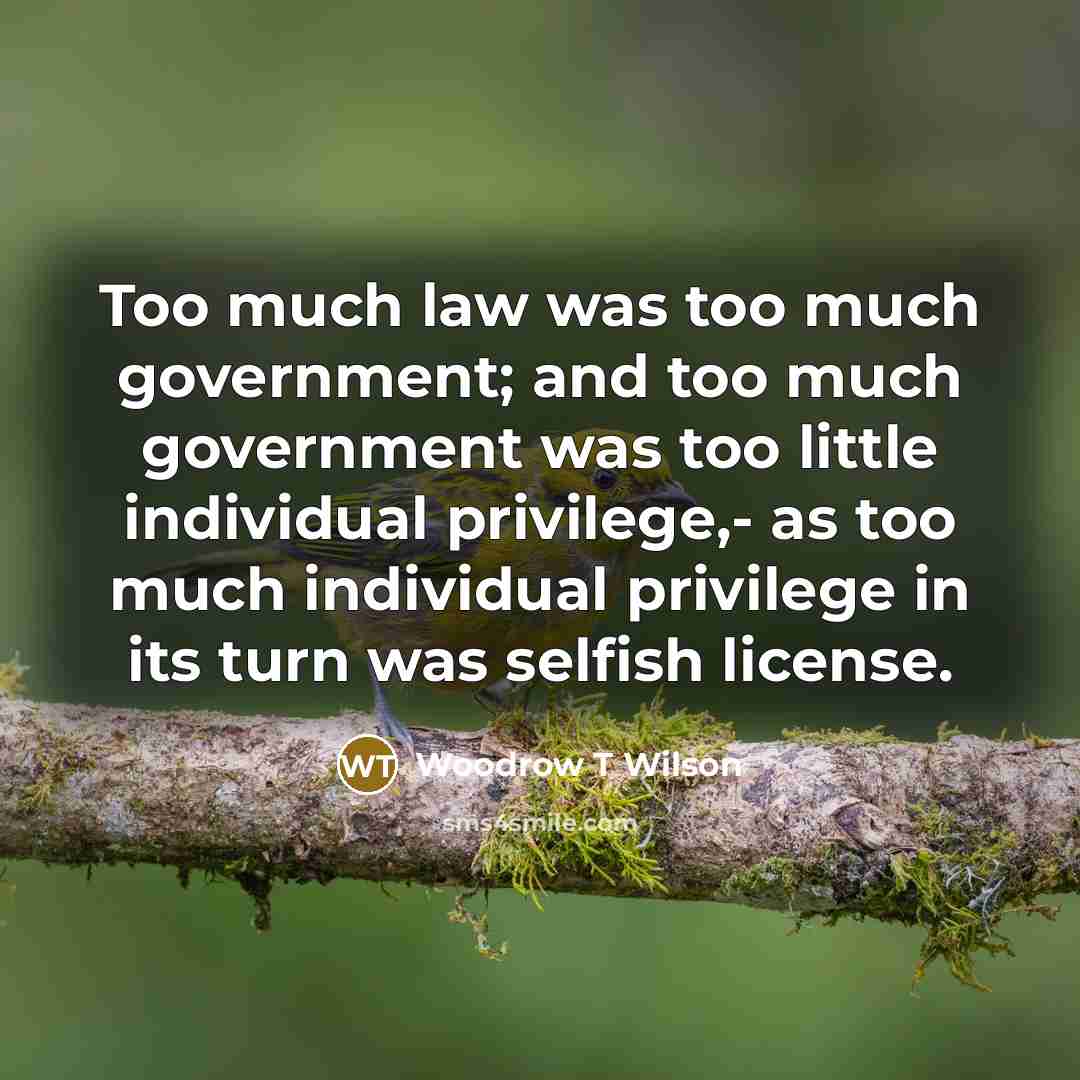 “Too much law was too much government; and too much…” quote by Woodrow T Wilson