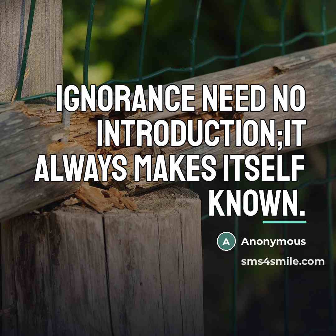 “Ignorance need no introduction;it always makes itself known.…” quote by Anonymous