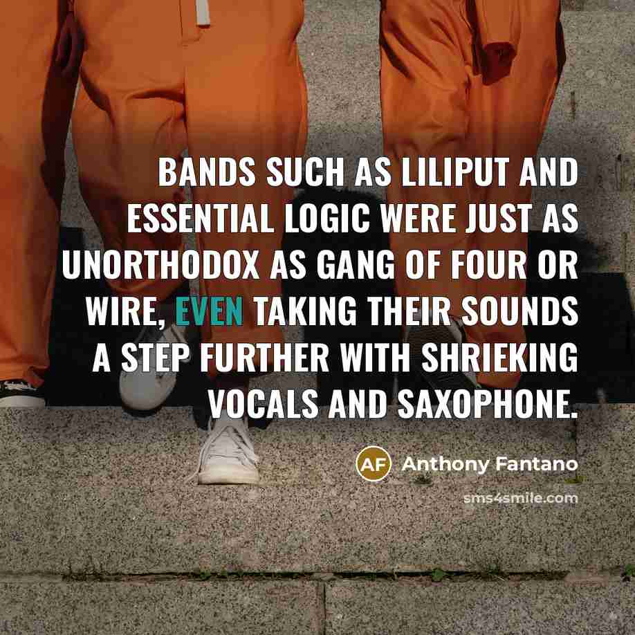 “Bands such as LiLiPUT and Essential Logic were just as…” quote by Anthony Fantano