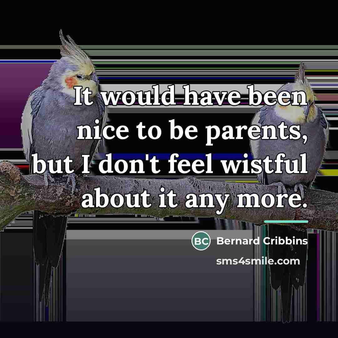 “It would have been nice to be parents, but I…” quote by Bernard Cribbins