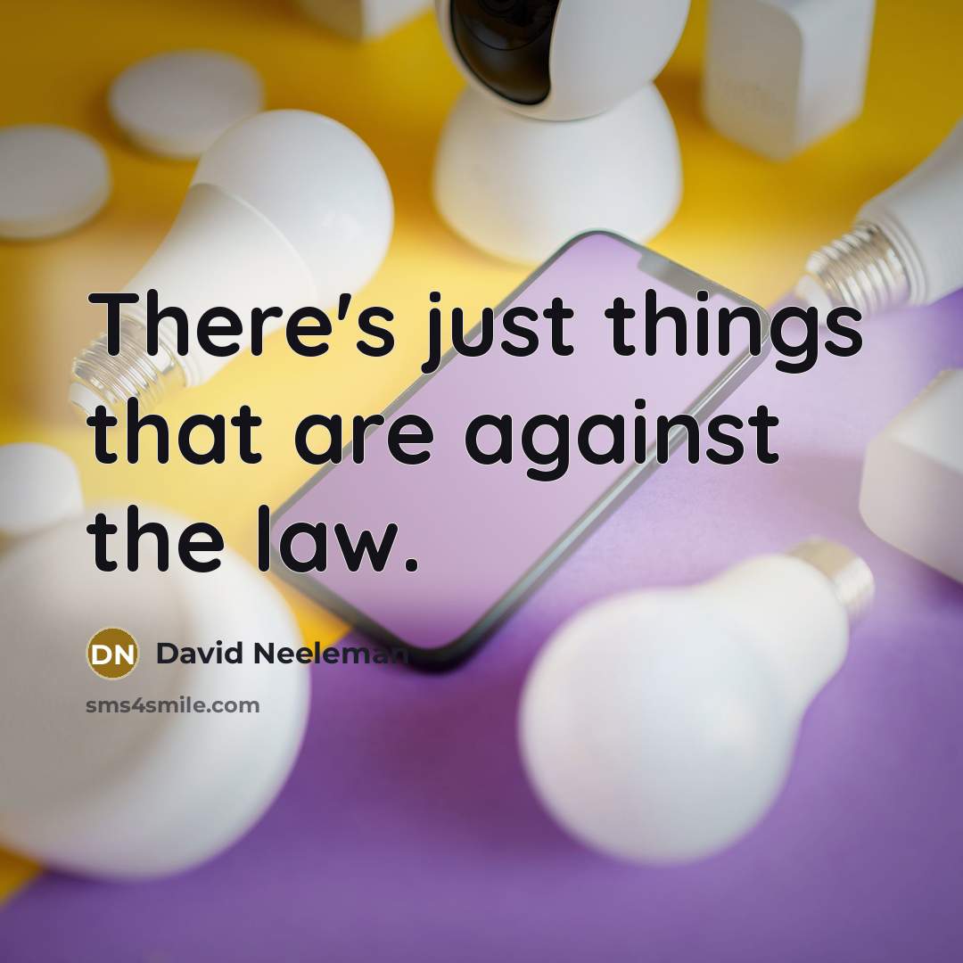 “There's just things that are against the law.…” quote by David Neeleman